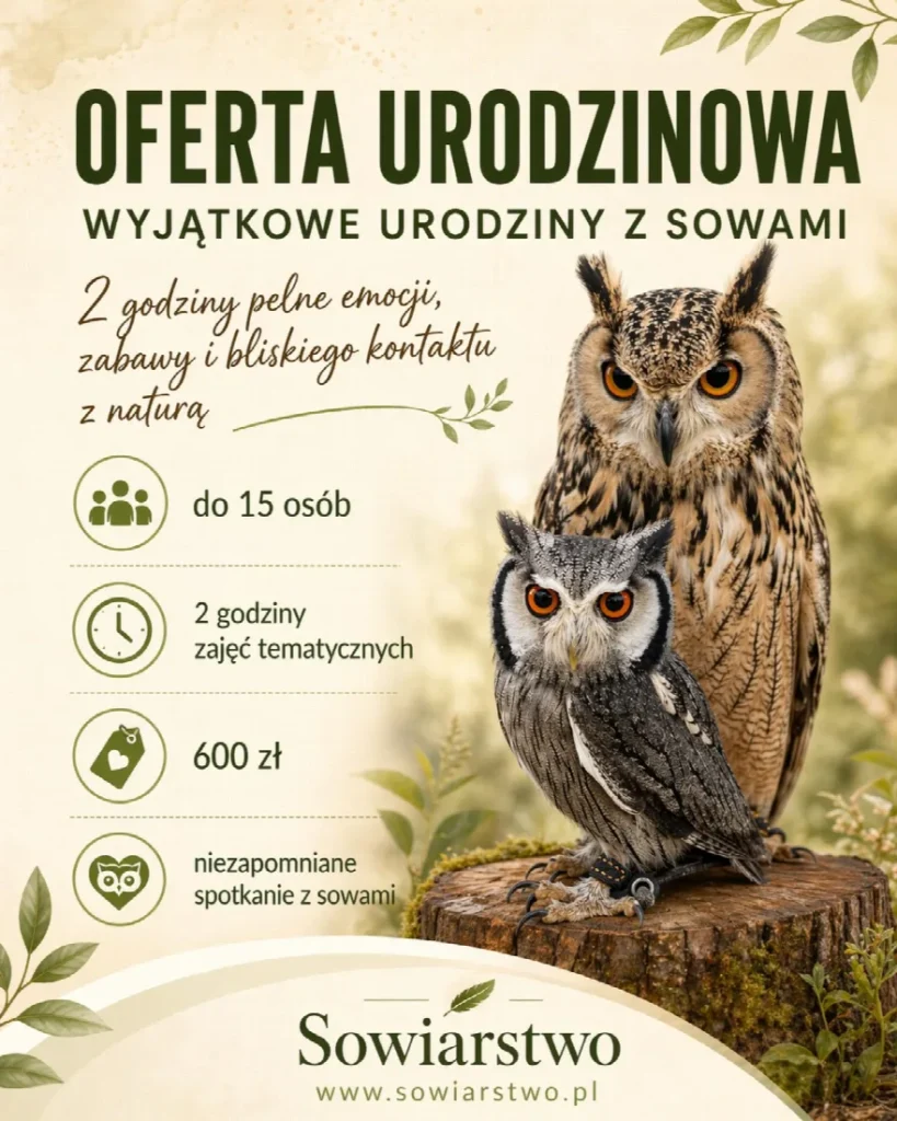 Spotkania tematyczne w klimacie wikingów