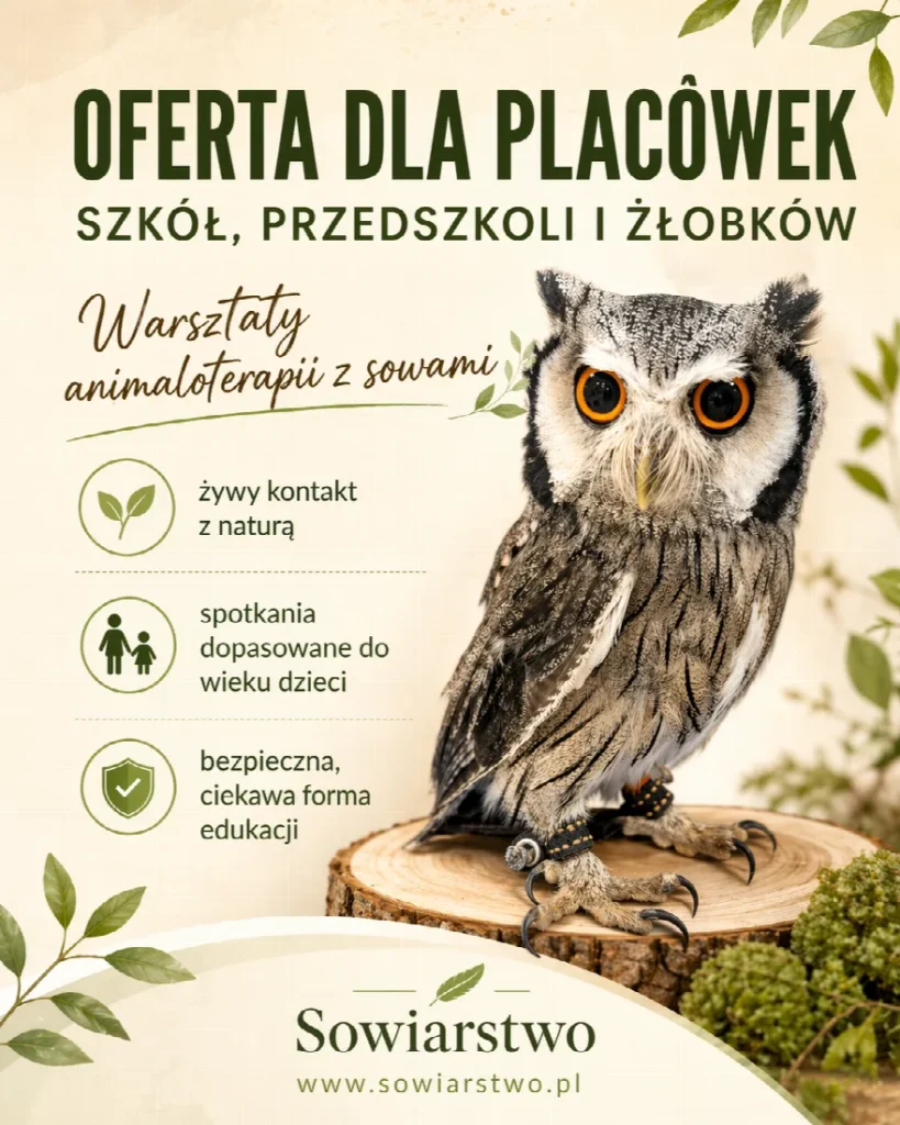 Zajęcia terapeutyczno-edukacyjne w placówkach