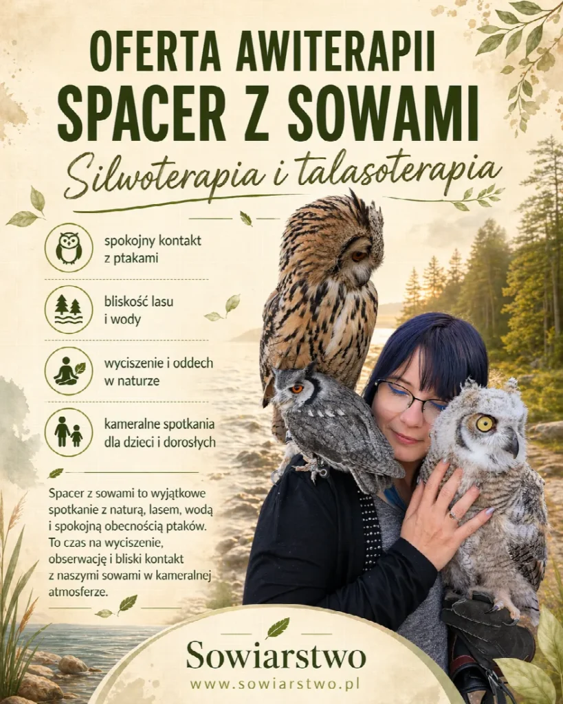 Dni z sowami, spokojne warsztaty twórcze