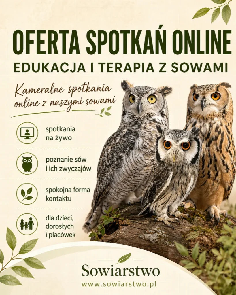 Spacery edukacyjne z sowami