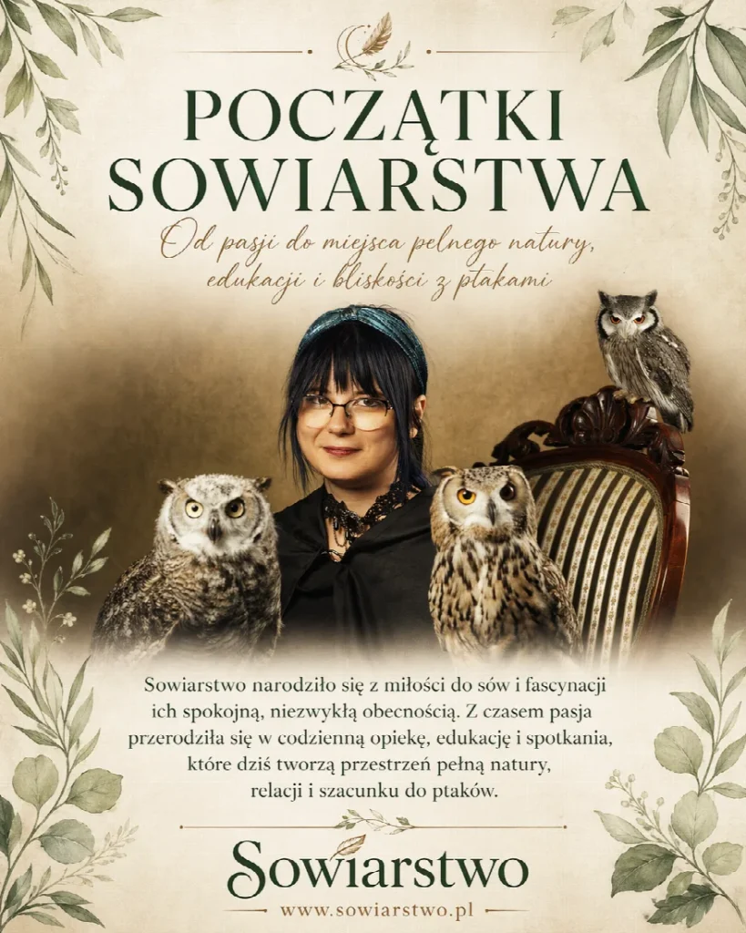 Spotkanie online z sowami