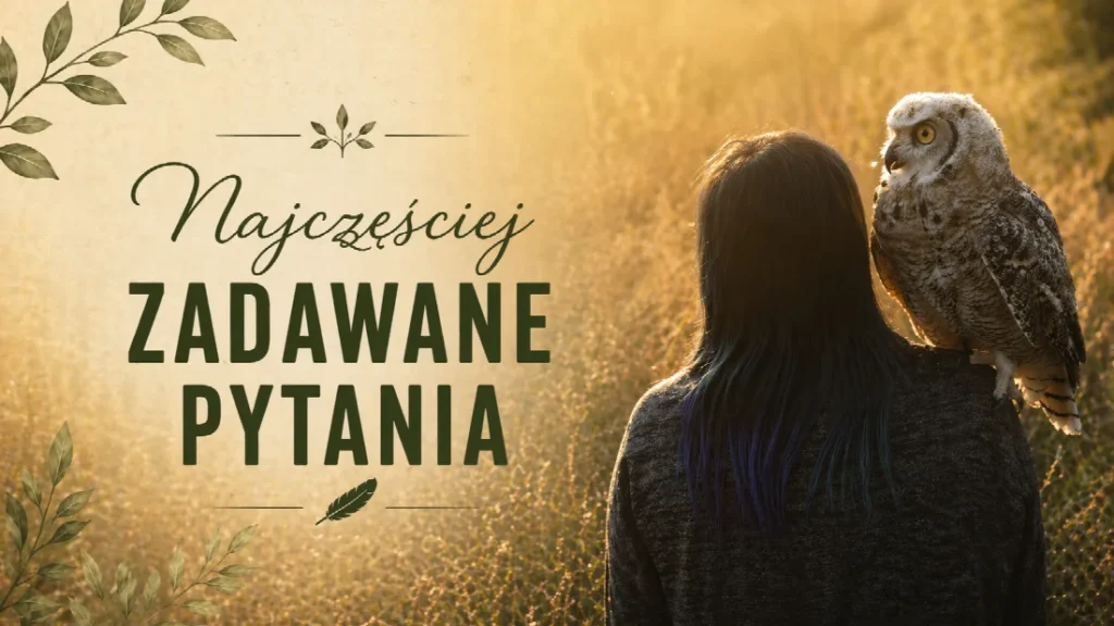 Wyjątkowe urodziny z sowami